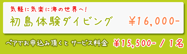 体験ダイビング