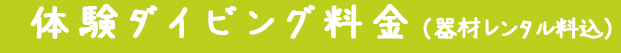 体験ダイビング